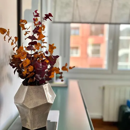 Апартаменти Piso Bonito Y Tranquilo En Більбао